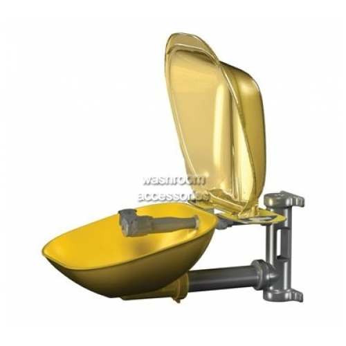 Eye Wash Station Wall Mount