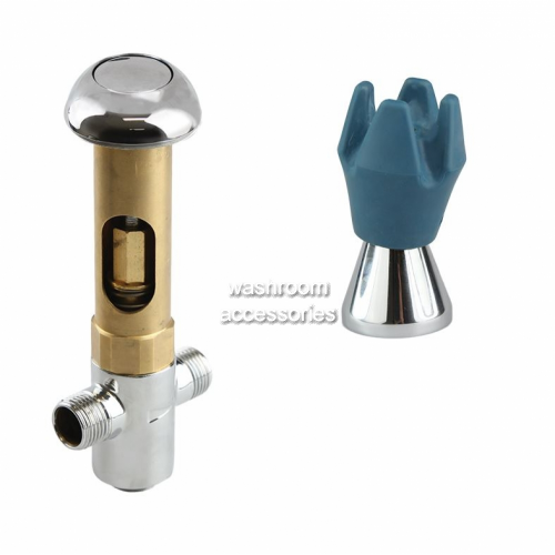 View TFT8020 Timed Flow Bubbler with Remote Button details.